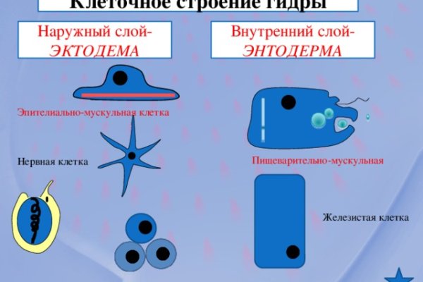 Ссылка на кракен тор браузер