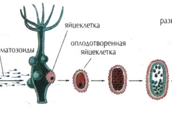 Кракен площадка вход