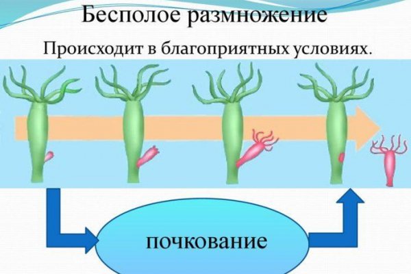 Kraken сайт покупок